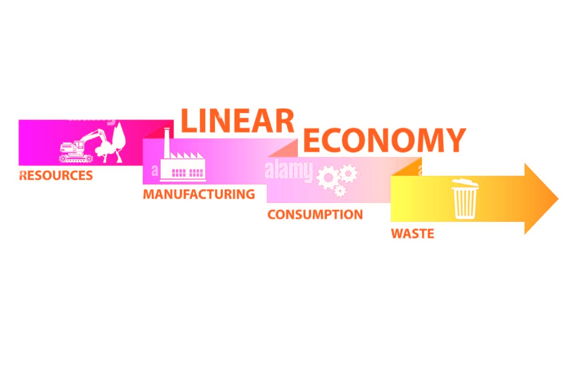 Linear Economy: Characteristics, Risks And Alternative