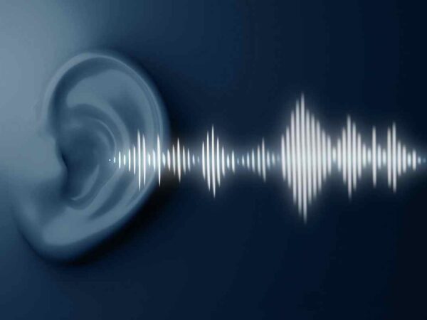 Sound Interface